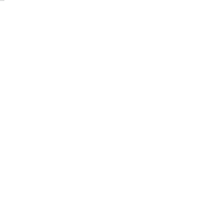 Flyer, DIN A4, einseitig bedruckt
 (21,0  x 29,7 cm)